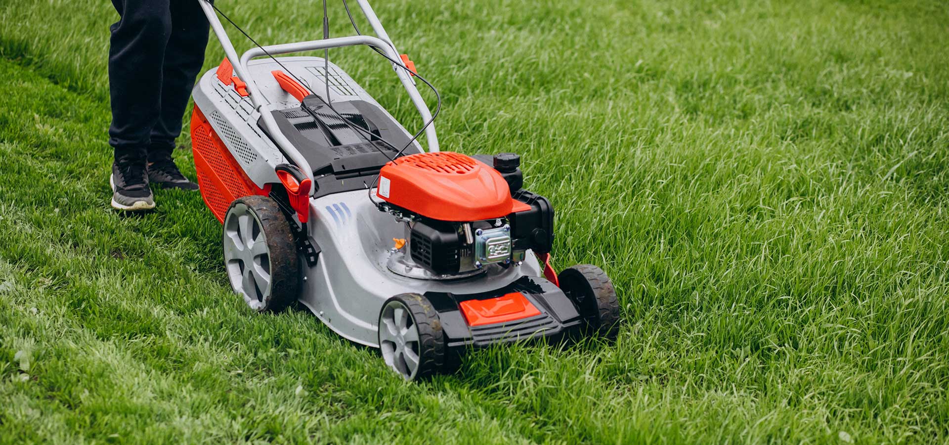 Grass Cutting Image