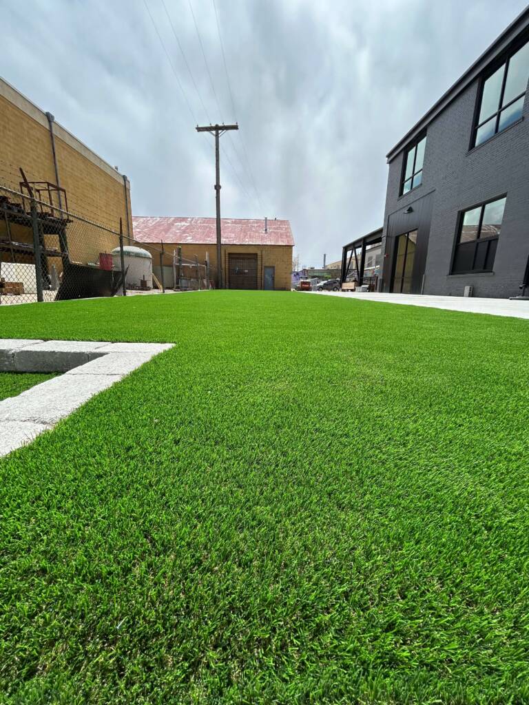 Turf Image 5